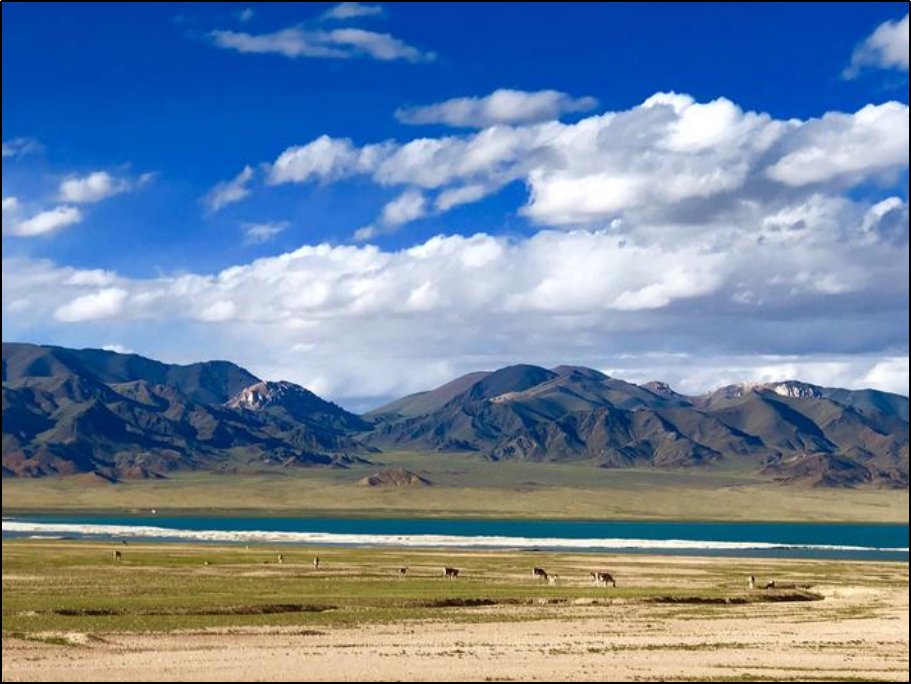 中国四大无人区是哪四个地方