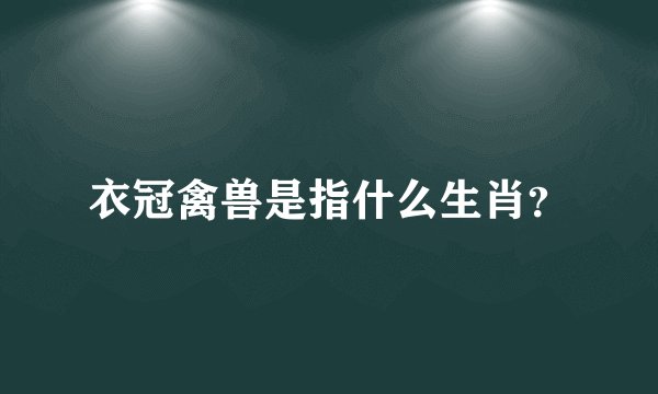 衣冠禽兽是指什么生肖？