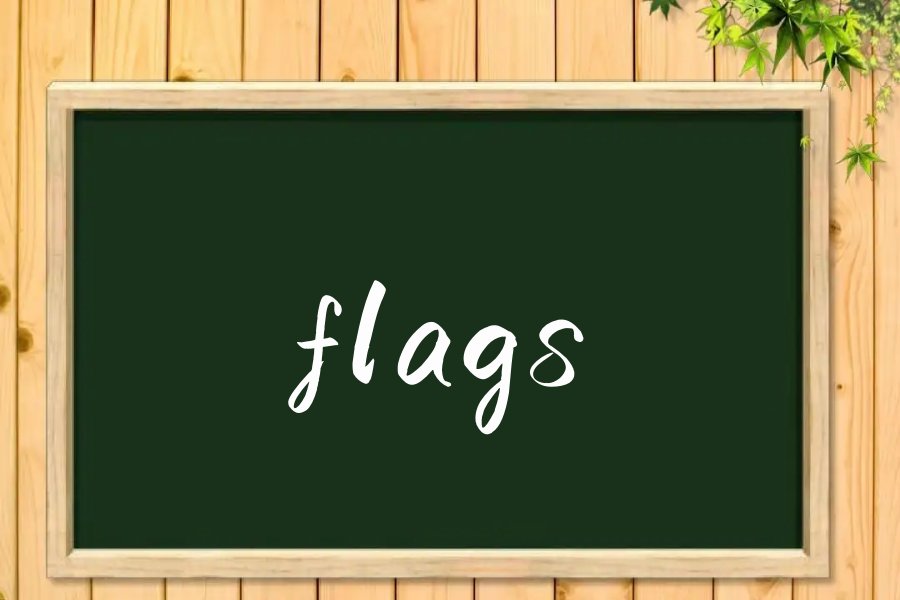 flags是什么意思英语