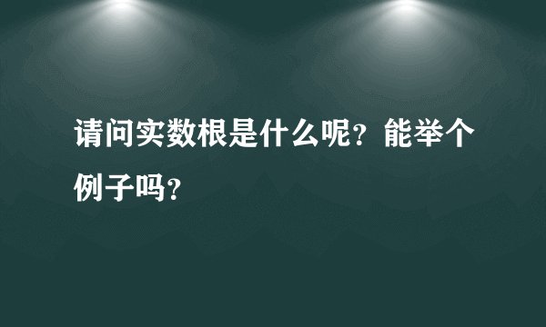 请问实数根是什么呢？能举个例子吗？