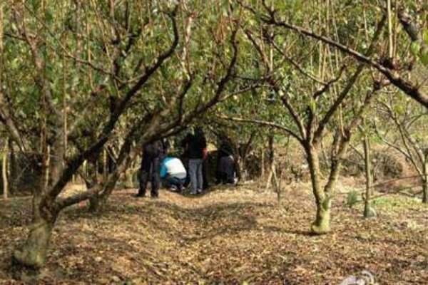 吴诗卉和肛门有啥关联 烧毁衣物弃尸野外