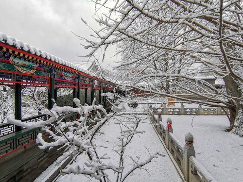 瑞雪好兆头的祝福