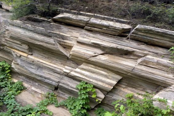 大自然的指南针有哪些,你都知道吗