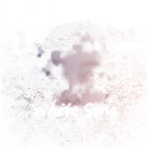 冰雪儿的原著选段