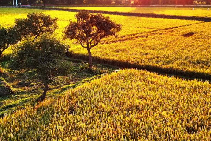 点面结合的优美句子