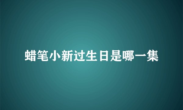 蜡笔小新过生日是哪一集