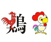 1993年到2024年是多大?