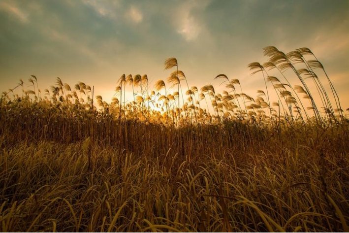 一什么叮咛一什么歌吟