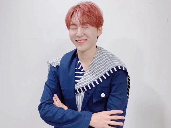 seventeen成员简介