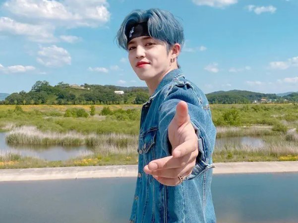 seventeen成员简介