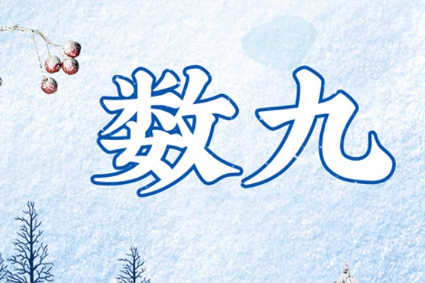 2024年交九的日期表