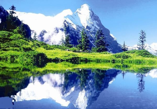 阿尔卑斯的中文是什么意思？