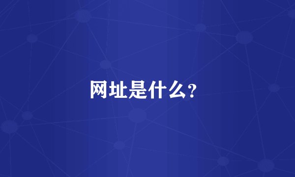 网址是什么？