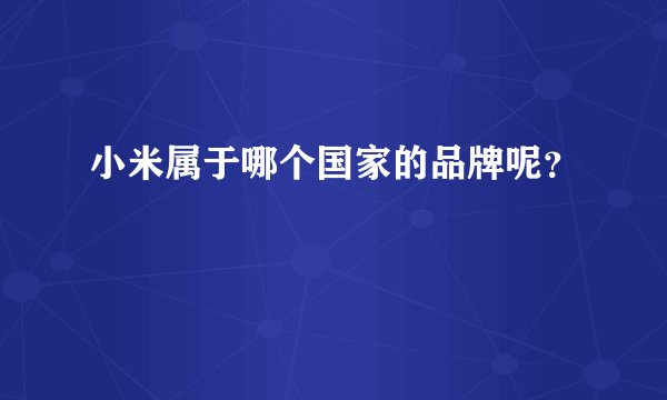 小米属于哪个国家的品牌呢？