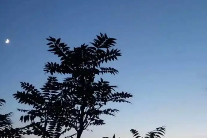 月黑风高指什么意思