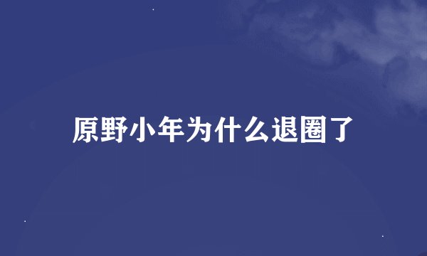 原野小年为什么退圈了