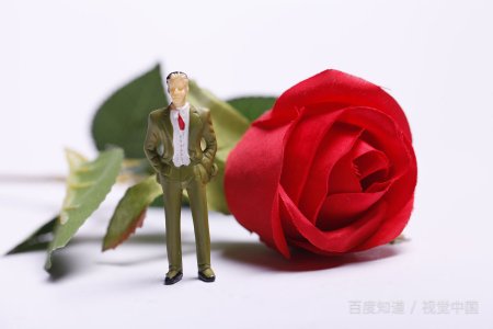 玫瑰花能随便送人吗？