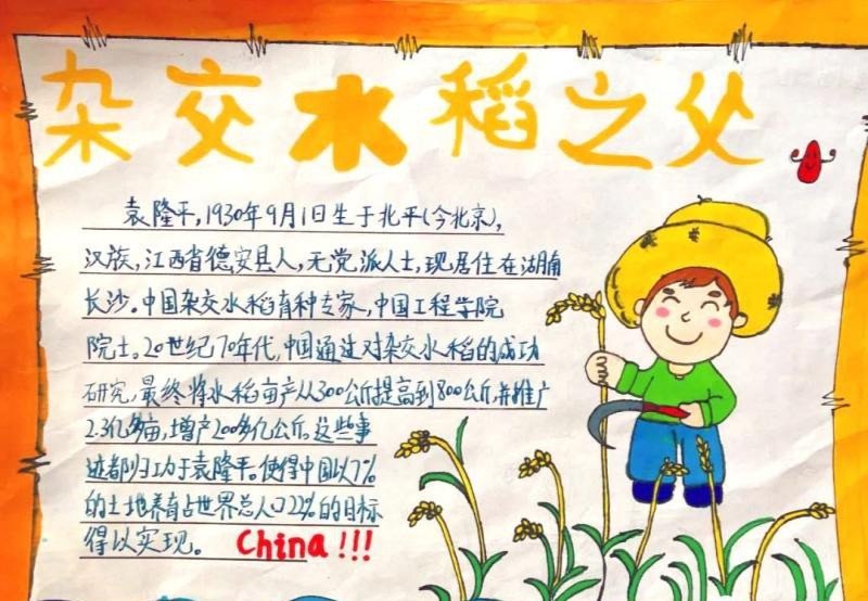 袁隆平手抄报图片大全简单漂亮