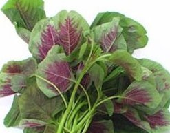 一个草字头，一个看见的见念什么字