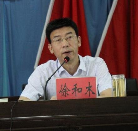 徐和木的人物履历