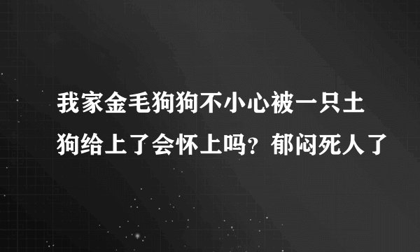 我家金毛狗狗不小心被一只土狗给上了会怀上吗？郁闷死人了