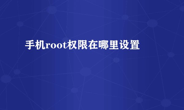 手机root权限在哪里设置