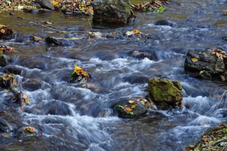 淌字怎么组词语