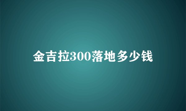 金吉拉300落地多少钱