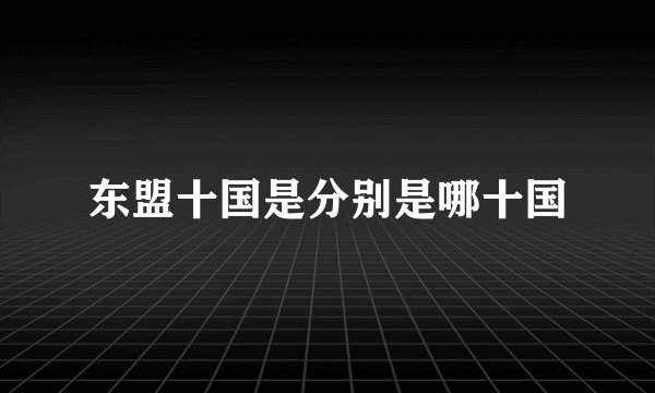 东盟十国是分别是哪十国