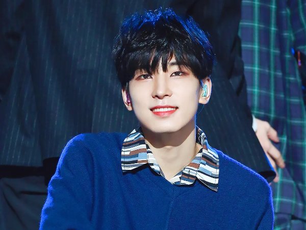 seventeen成员简介