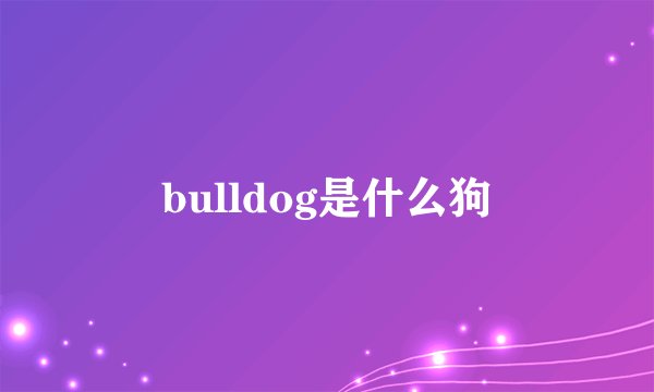bulldog是什么狗