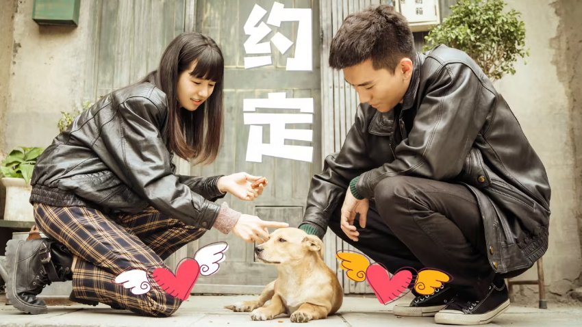 曾少年一辉死了报仇了吗