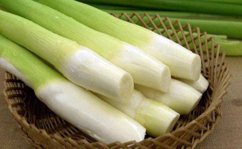 泮塘五秀是指什么？