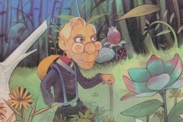 采薇和顾老爹小说叫什么名字