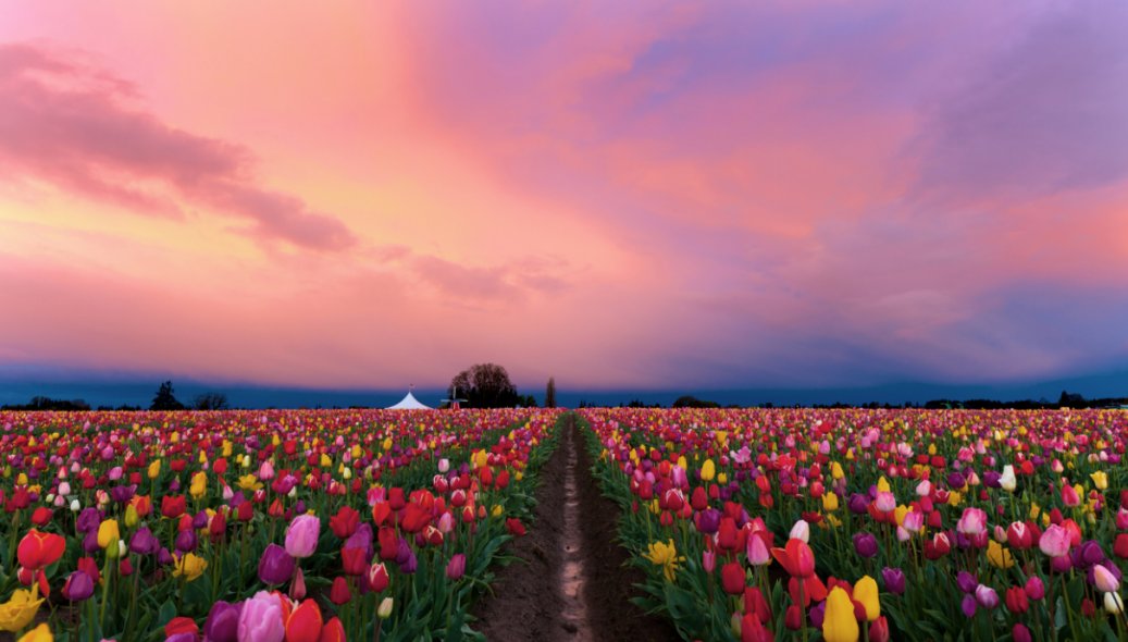 公子是你吗是什么歌?