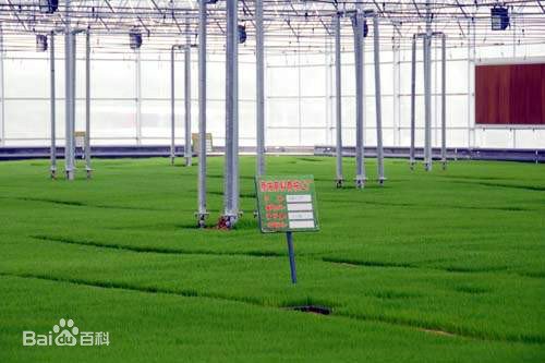 什么是农艺专业