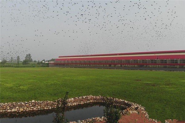 盘锦运翔公棚2022年规程