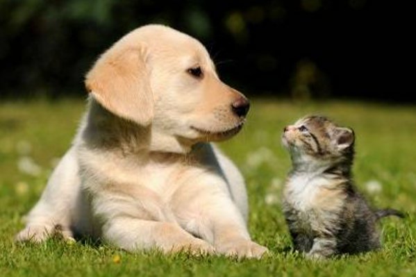 发春是什么意思