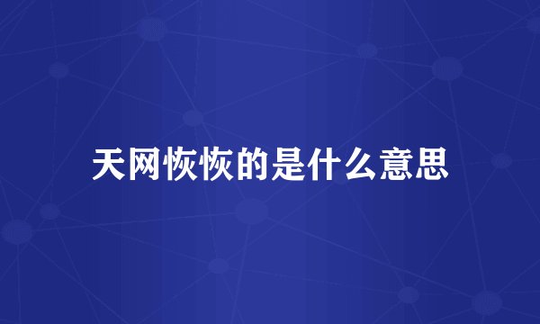 天网恢恢的是什么意思