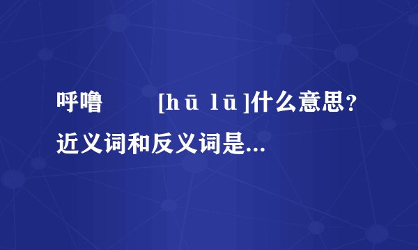 呼噜   [hū lū]什么意思？近义词和反义词是什么？英文翻译是什么？