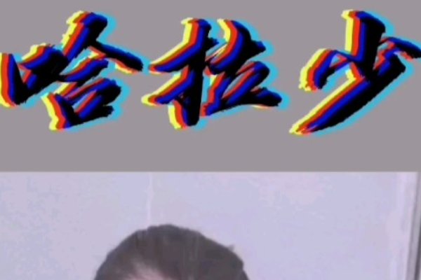 哈拉少什么意思