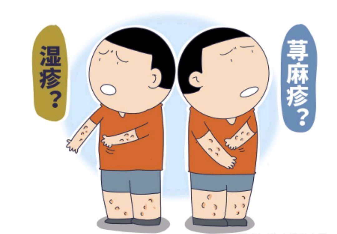 辨组词和拼音部首