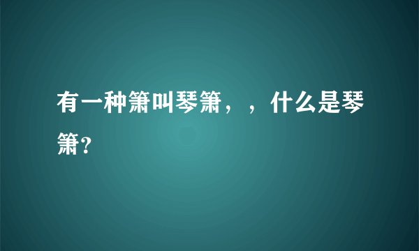 有一种箫叫琴箫，，什么是琴箫？