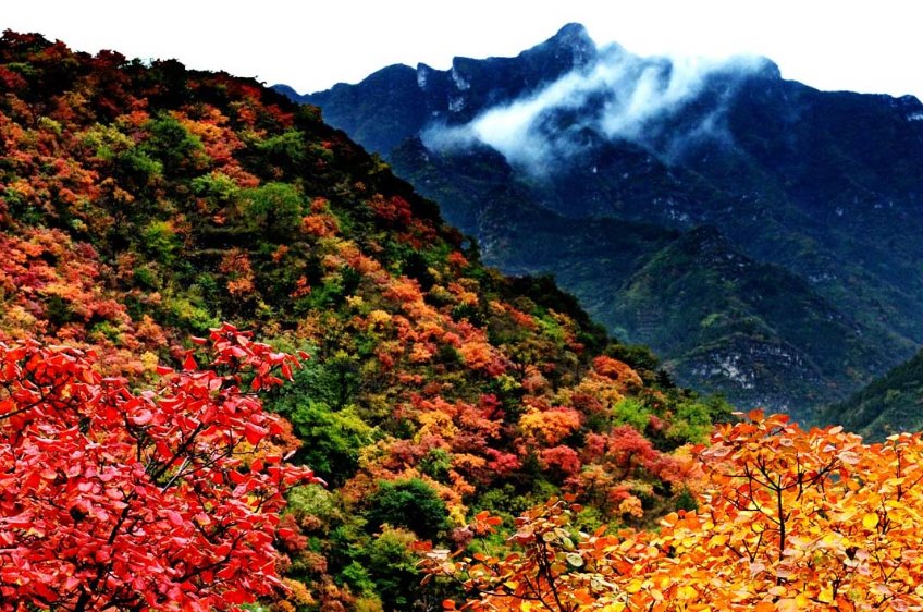 顺平县邮政编码是多少