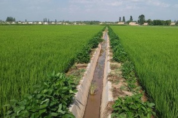 埂组词语和拼音