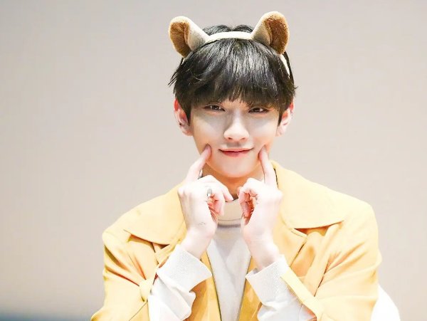 seventeen成员简介