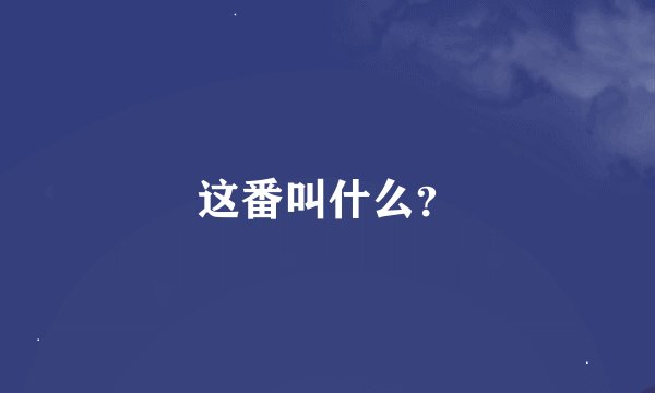 这番叫什么？