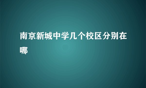 南京新城中学几个校区分别在哪