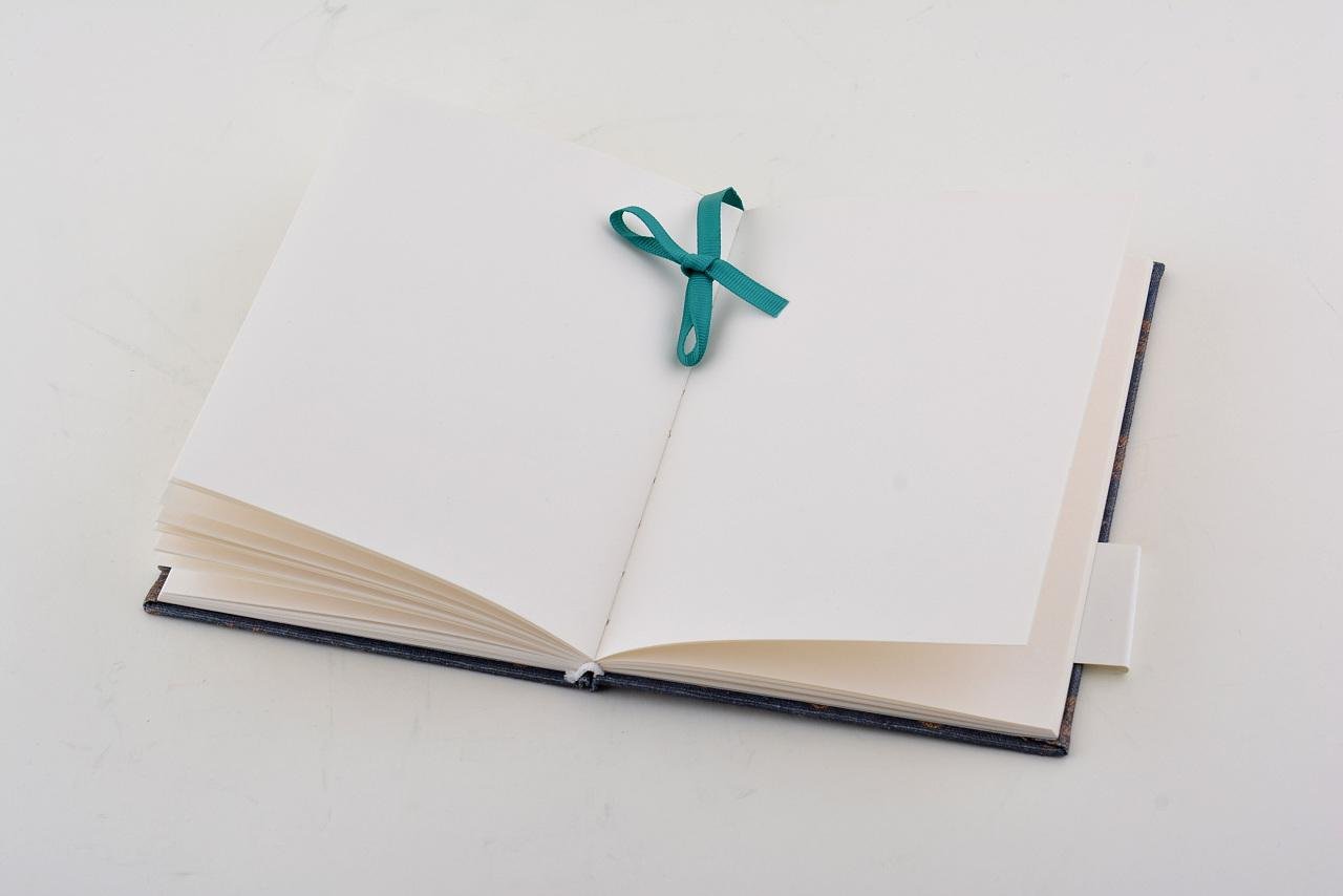 MOLESKINE如何发音？