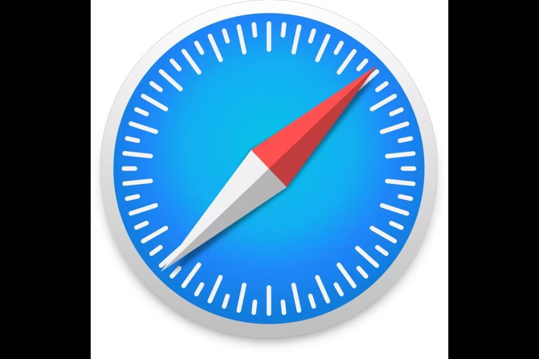 safari是什么意思